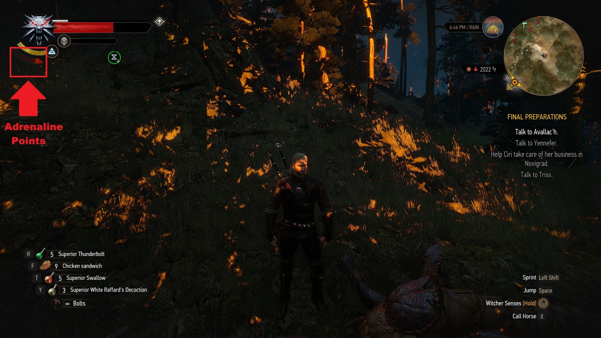 Witcher 3 Adrenaline Points and special attacks explained VG247